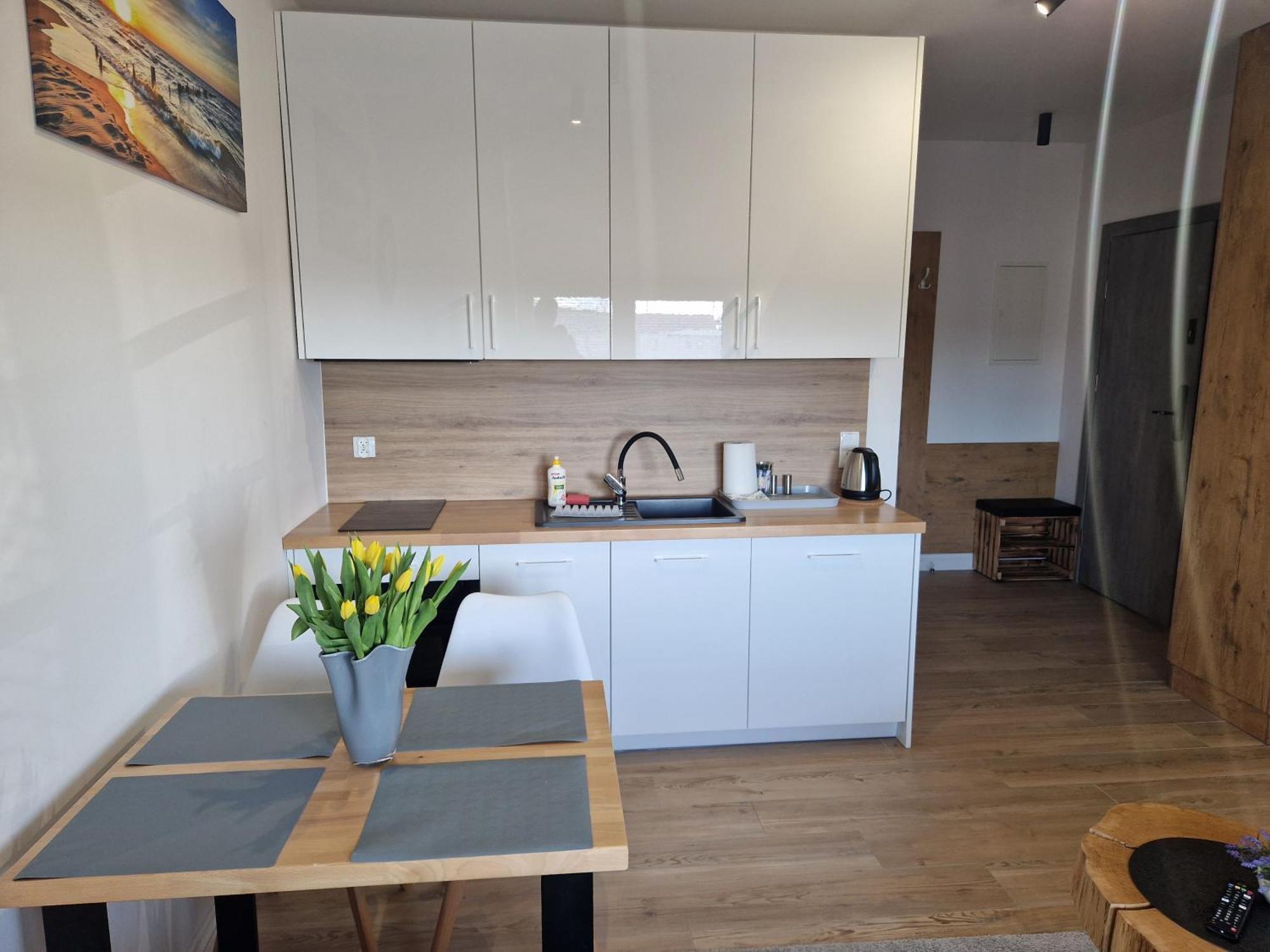 Zatoka Apartment